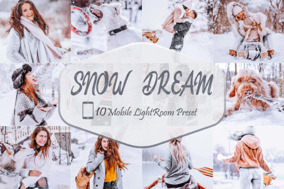 Download 10 Snowy Dream LR Mobile Presets - Lr mobile Collection
