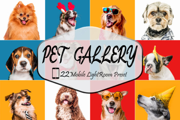 Download 22 Pet Gallery LR Mobile  Presets - Lr mobile Collection
